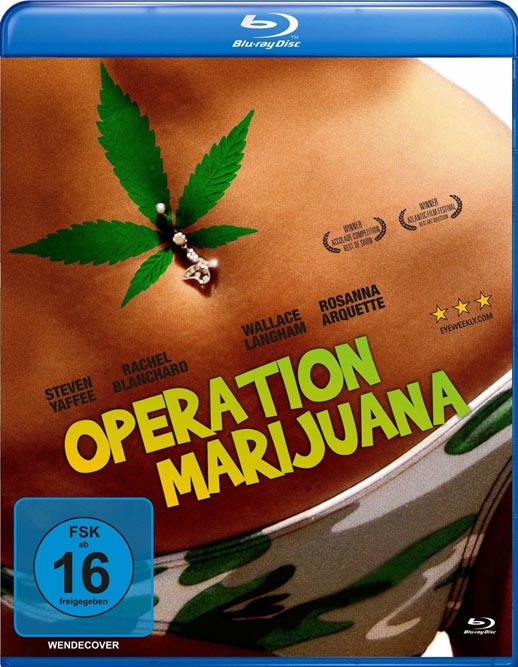 我家种大麻海报