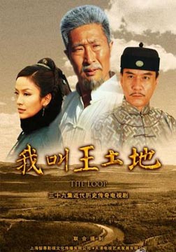 我叫王土地海报