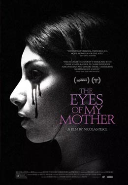 母亲的双眼海报