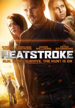 中暑惊魂海报